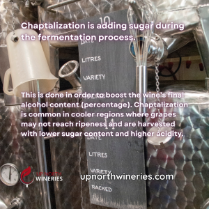Chaptalization helps winemakers in cool climates, like Northern Michigan, balance acidity by adding sugar before fermentation. Learn how it works!