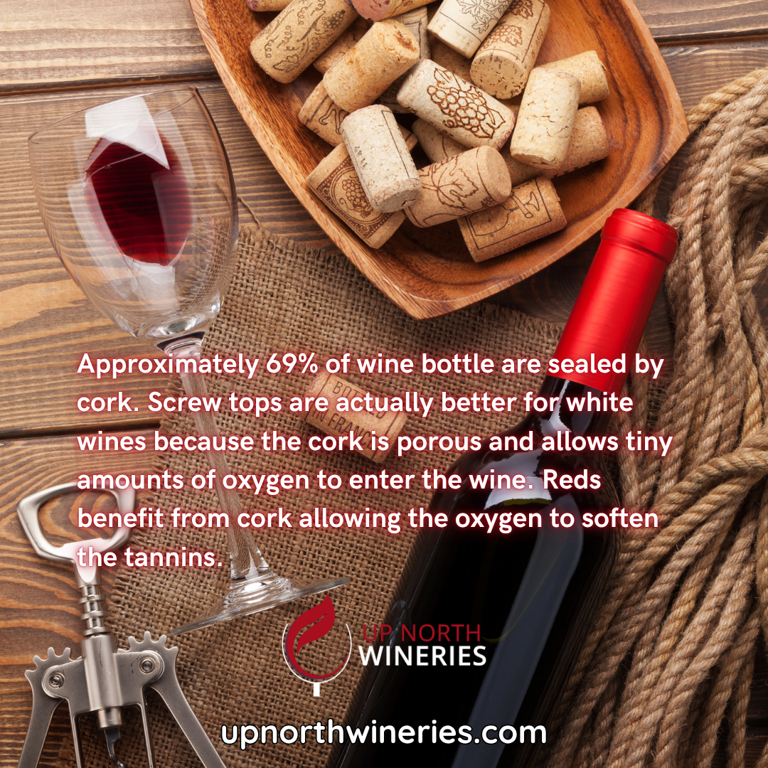 Cork or screw cap? The way a wine bottle is sealed affects taste, aging, and freshness. Discover the pros and cons of each. 🍷