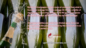 Did you know a champagne bottle holds more pressure than a car tire? Learn why thicker glass is essential and how to pop bubbly safely! 🥂